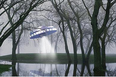 《集合啦！动物森友会》V2.0版大型更新介绍 11月15日上线 